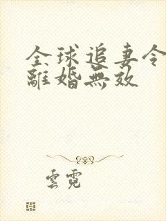 全球追妻令老婆离婚无效