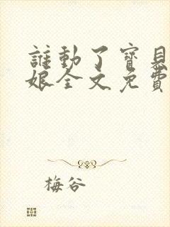 谁动了宝贝的嫡娘全文免费阅读