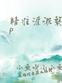 精准灌溉系统hp