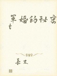 军婚的秘密txt