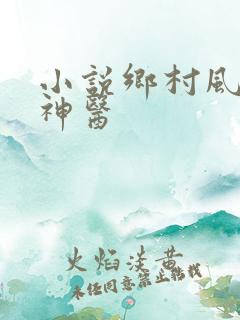 小说乡村风流小神医