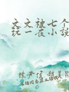 文文被七个男人玩一夜小说