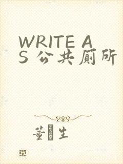 WRITE AS 公共厕所