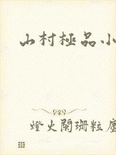 山村极品小神医