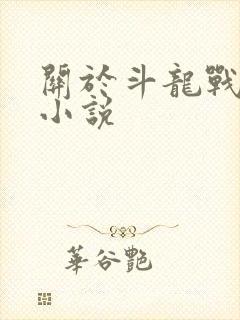 关于斗龙战士的小说