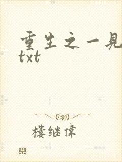 重生之一见倾心txt