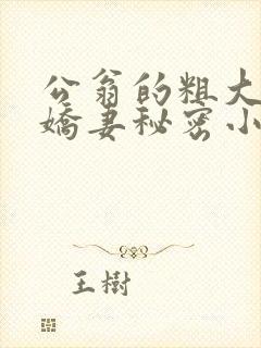 公翁的粗大放进娇妻秘密小说