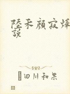 陆禾颜寂烨霖小说