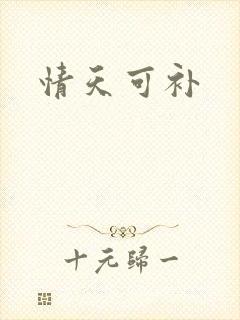 情天可补