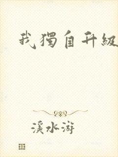 我独自升级小说