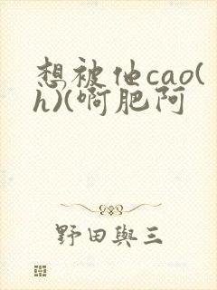 想被他cao(h)(啊肥阿