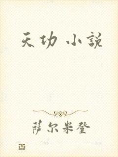 天功 小说