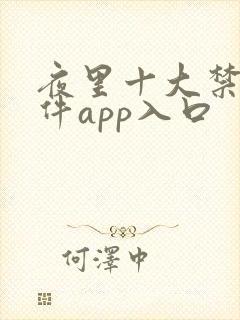 夜里十大禁用软件app入口