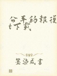 公平的报复txt下载