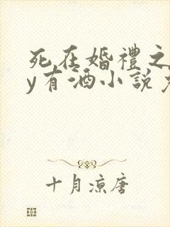 死在婚礼之前by有酒小说免费阅读