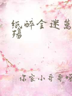 纸醉金迷万灭之殇