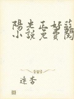 阳光正好苏玥玥小说免费阅读