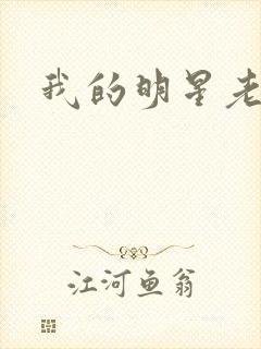 我的明星老豆