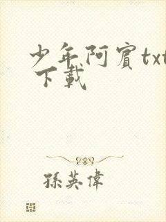 少年阿宾txt 下载