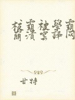 校霸被学霸玩到崩溃云译网