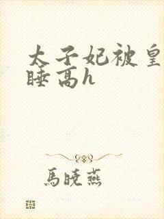 太子妃被皇上强睡高h