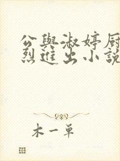 公与淑婷厨房猛烈进出小说