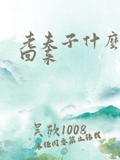 老夫子什么时候回来