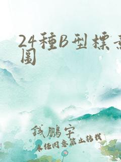 24种B型标意图
