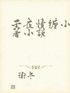 子夜情缠小说原著小说