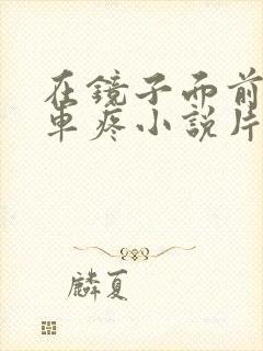 在镜子面前做开车疼小说片段