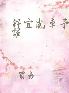 舒宜岚卓予淮小说