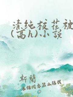 清纯校花被调教(高h)小说