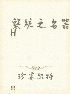 系统之名器勾男H