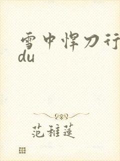 雪中悍刀行sodu