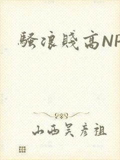 骚浪贱高NPH