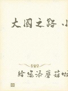 大国之路 小说