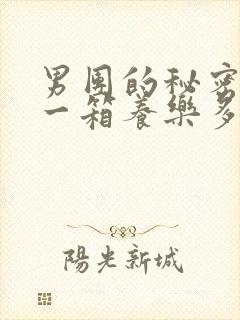 男团的秘密BY一箱养乐多小说