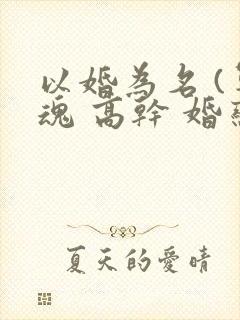 以婚为名 (军魂 高干 婚恋)