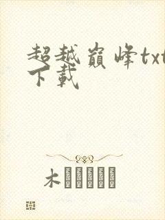 超越巅峰txt下载