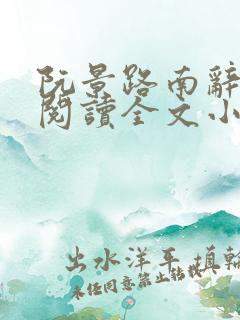 阮景路南辞免费阅读全文小说