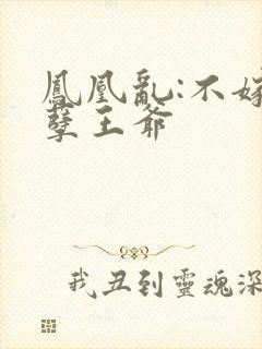 凤凰乱:不嫁妖孽王爷