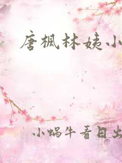 唐枫林姨小说