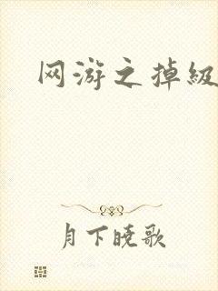 网游之掉级专家