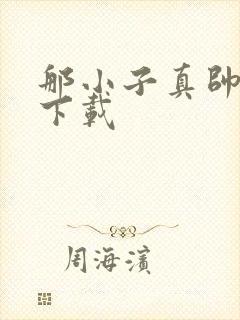 那小子真帅小说下载