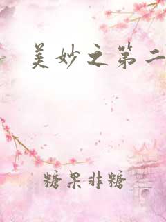美妙之第二人生