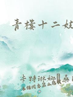 青楼十二妓