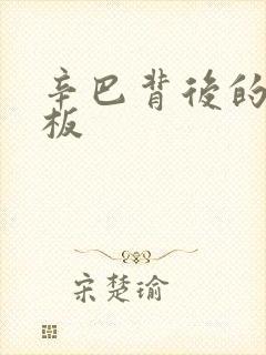 辛巴背后的人老板