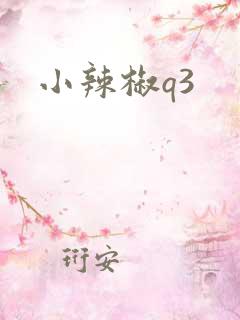 小辣椒q3