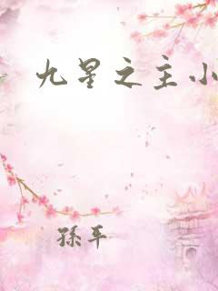 九星之主小说
