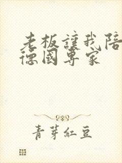 老板让我陪两个德国专家